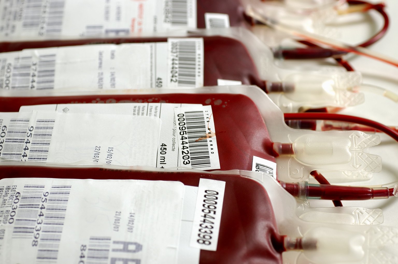 Как подготовиться к сдаче крови: правила и противопоказания