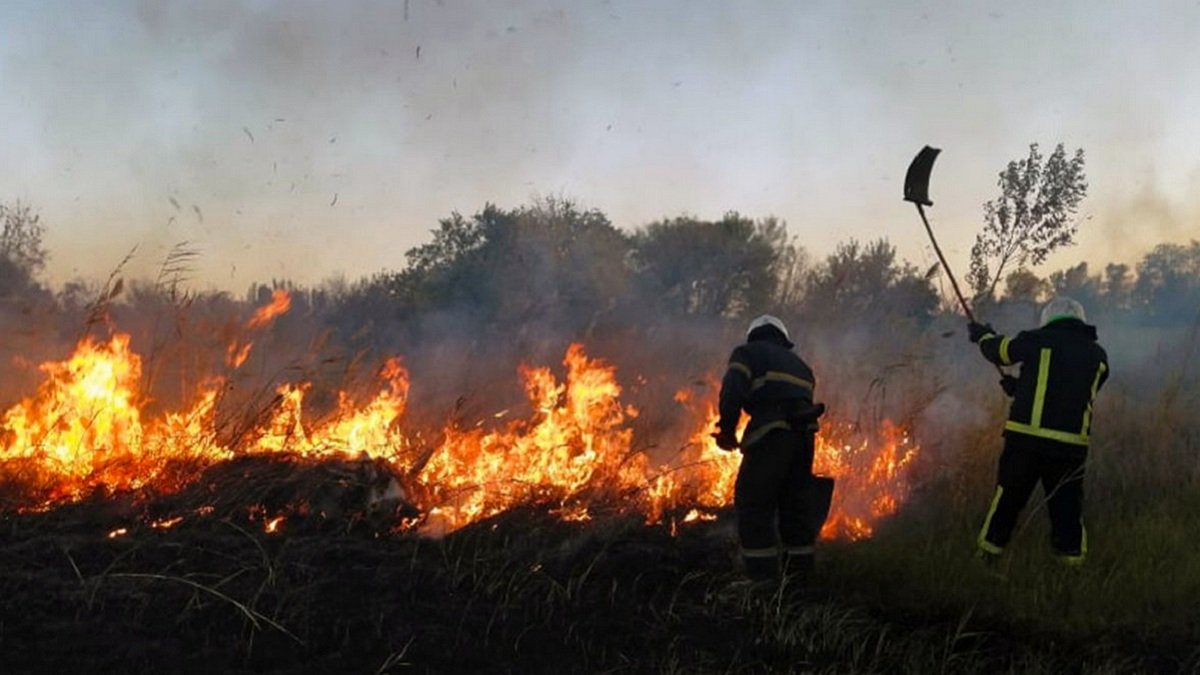 "Людоньки, ви серйозно?!": спасатели обратились к жителям Днепропетровской области с требованием не палить сухостой