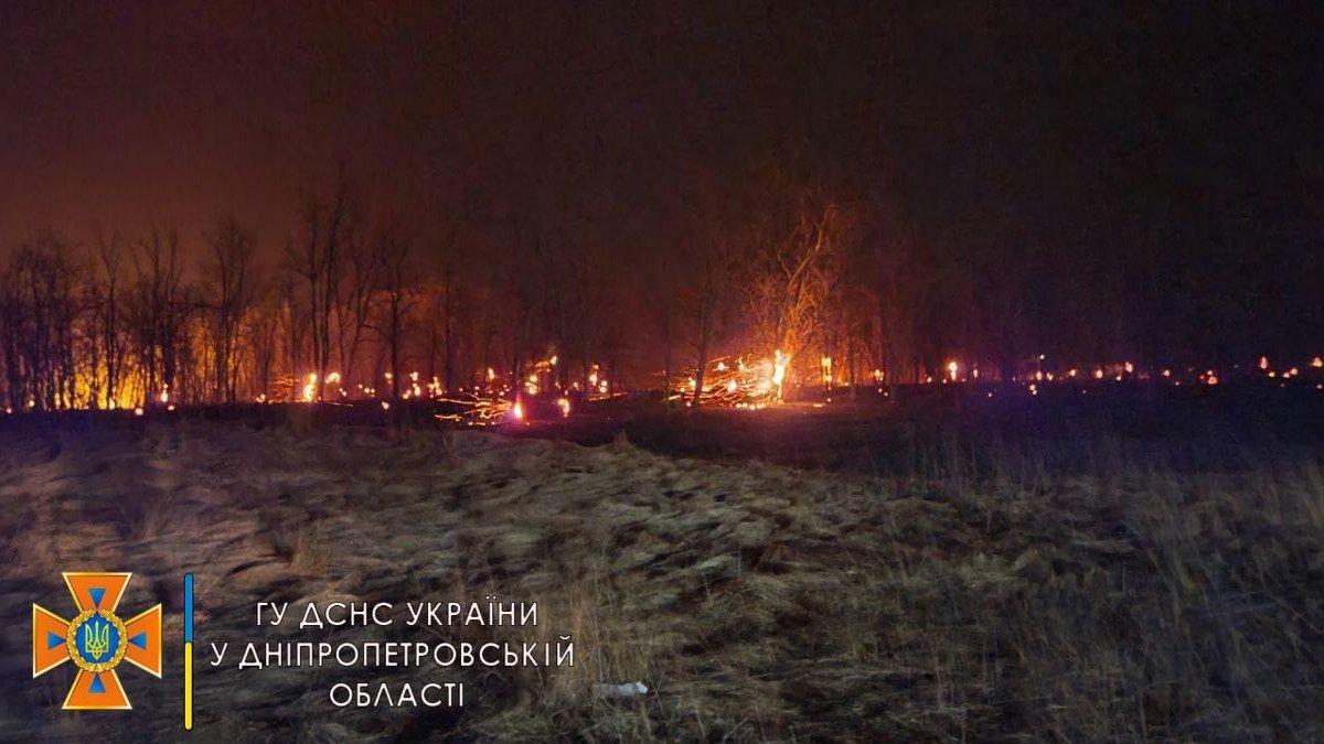 За сутки в Днепре и области сгорело 272 гектара сухостоя: отчет спасателей