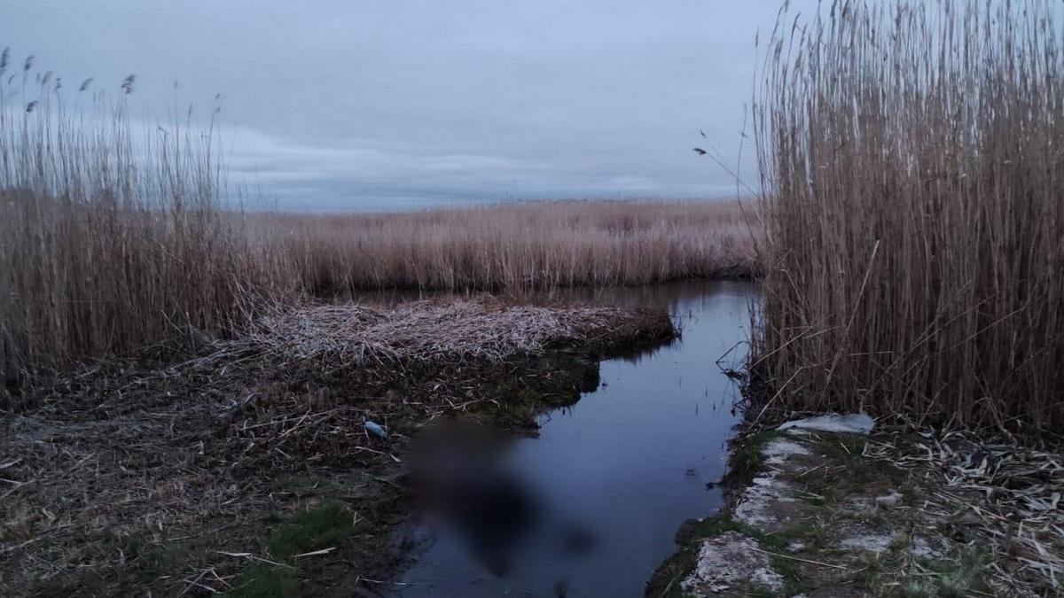 В Новомосковске на берегу реки 33-летнего мужчину до смерти забили камнем по голове