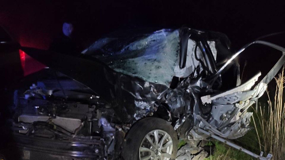 В Днепропетровской области Nissan слетел в кювет и врезался в дерево: водителя зажало в салоне