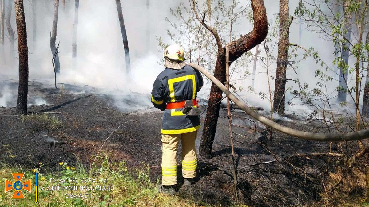 В Днепропетровской области загорелась подстилка хвойного леса