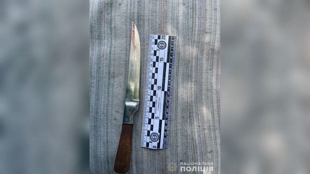 В Днепре женщина зарезала кухонным ножом своего сожителя