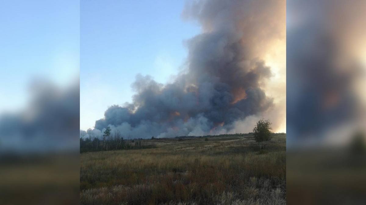 Дым видно из Днепра: в Новомосковском районе горит лес