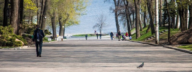 Зелень, спокойствие и красота: прогулка по аллеям парка Шевченко