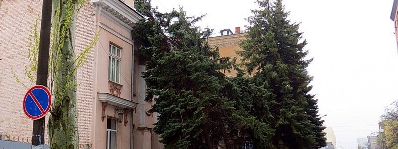 Беспощадная стихия: В Днепре на историческое здание упало несколько елок