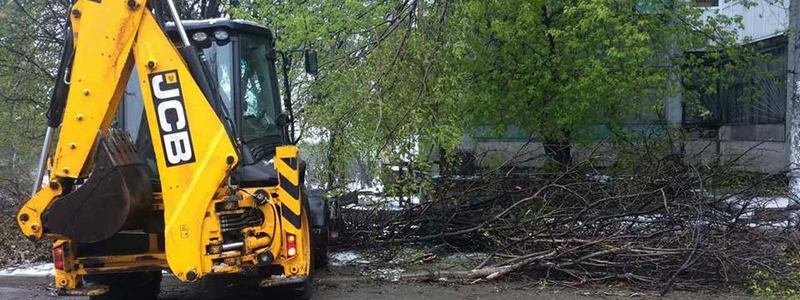 Борьба со стихией в фотографиях: как в Днепре убирали деревья после непогоды