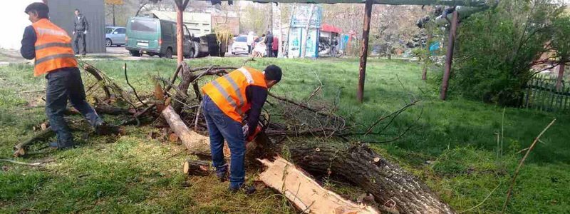 Борьба со стихией продолжается: в Днепре уже убрали почти 3 тысячи деревьев