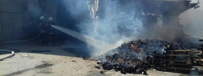 Масштабный пожар на Левом берегу Днепра: появилось видео