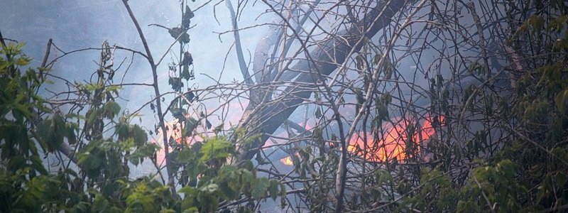 Огонь и много дыма: что горело возле Амурского моста