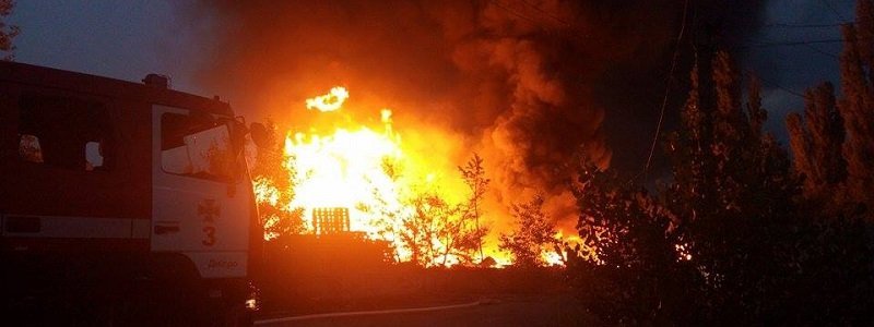 Пожар в лесу и уничтоженный урожай: спасатели предупреждают об опасности