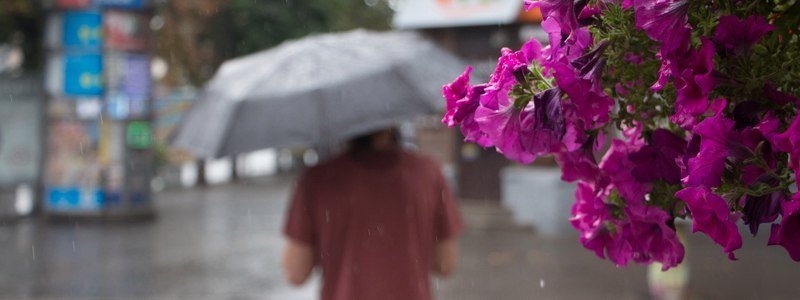 Спасительная прохлада: в Днепре пошел летний дождь