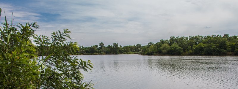 В озере на левом берегу Днепра нашли труп