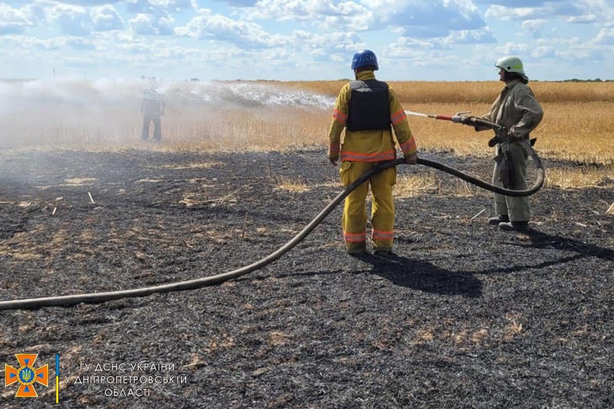 В Криворожском районе из-за обстрелов сгорело 50 гектаров полей с пшеницей и рапсом