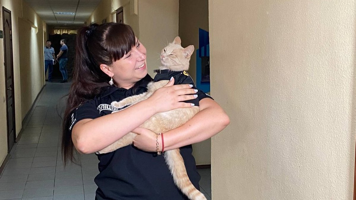 В Каменском в отделении полиции появился кот-полисмен