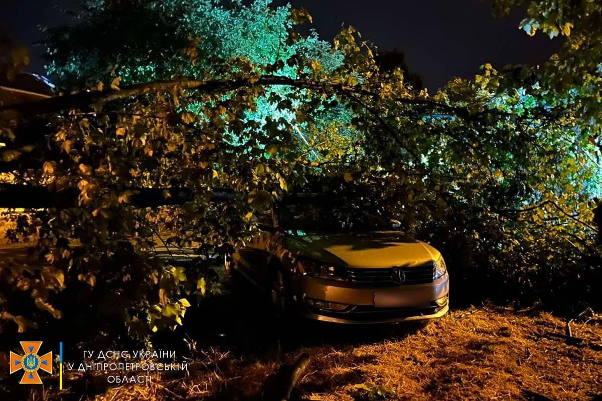 В Днепре из-за непогоды деревья упали на машины и электросеть