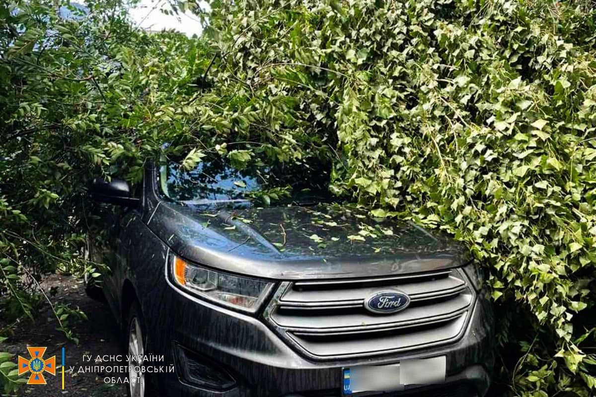 В Днепре на Яворницкого дерево упало на Ford