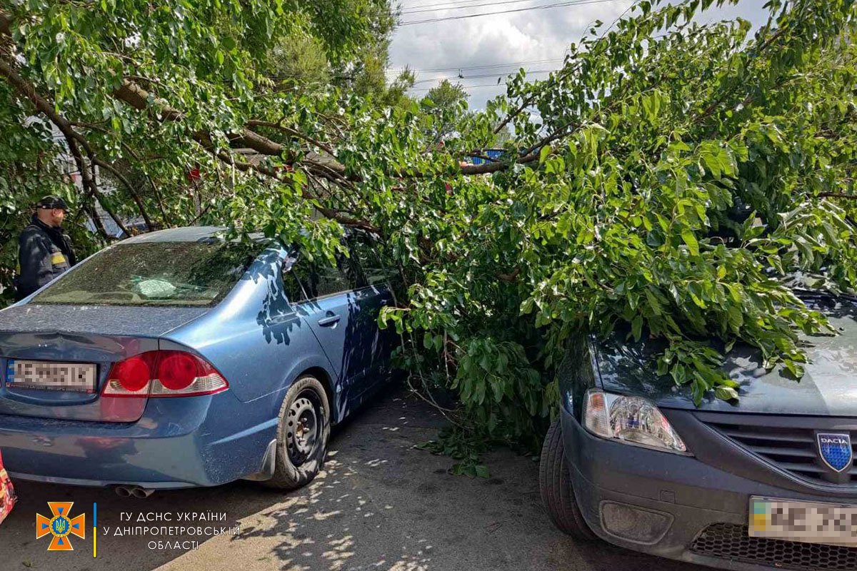 В Днепре на Калиновой дерево упало на припаркованные автомобили