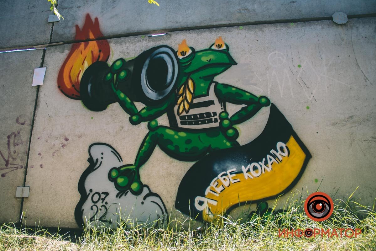 Художниця з Дніпра намалювала патріотичні графіті з жабами