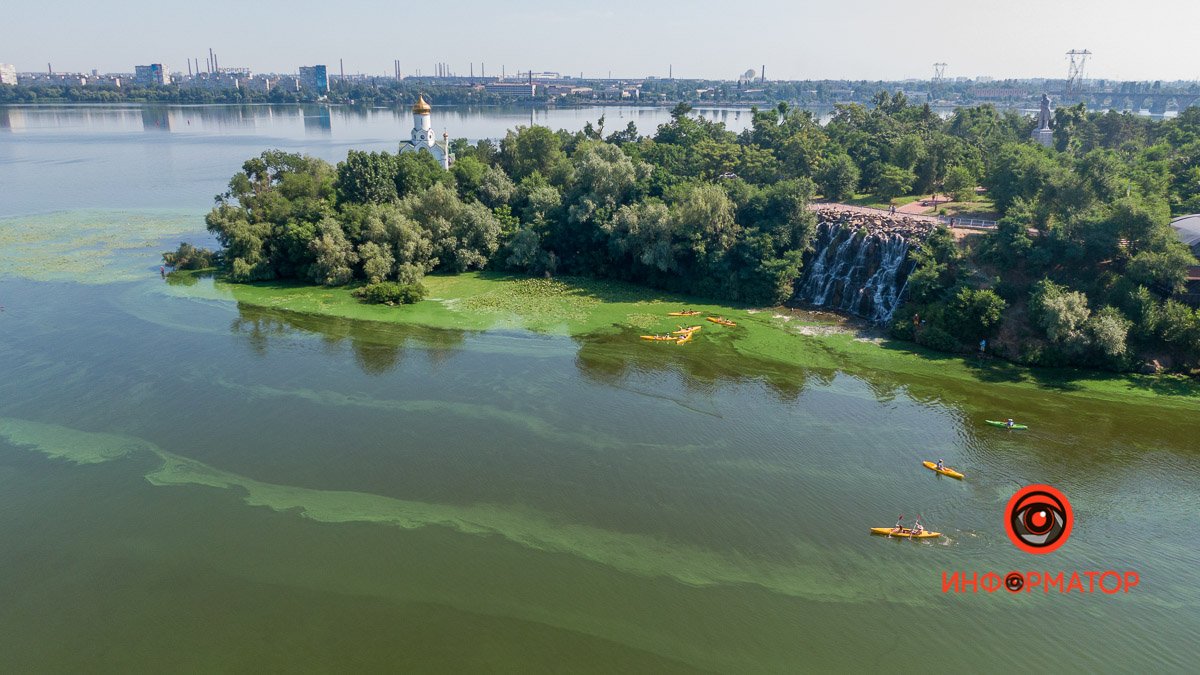 Річка Дніпро продовжує цвісти: екологи розповіли про стан водойми
