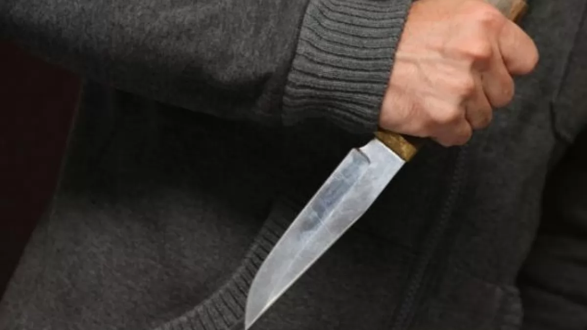 Более 250 ударов ножом: 24-летний житель Днепра зарезал свою мать