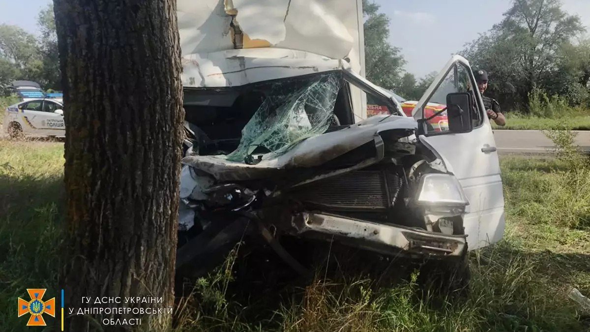 В Днепропетровской области Mercedes Sprinter столкнулся с грузовиком и врезался в дерево: водителя зажало в салоне