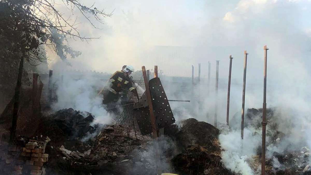 Погибли телята и утки: в Днепропетровской области произошел пожар