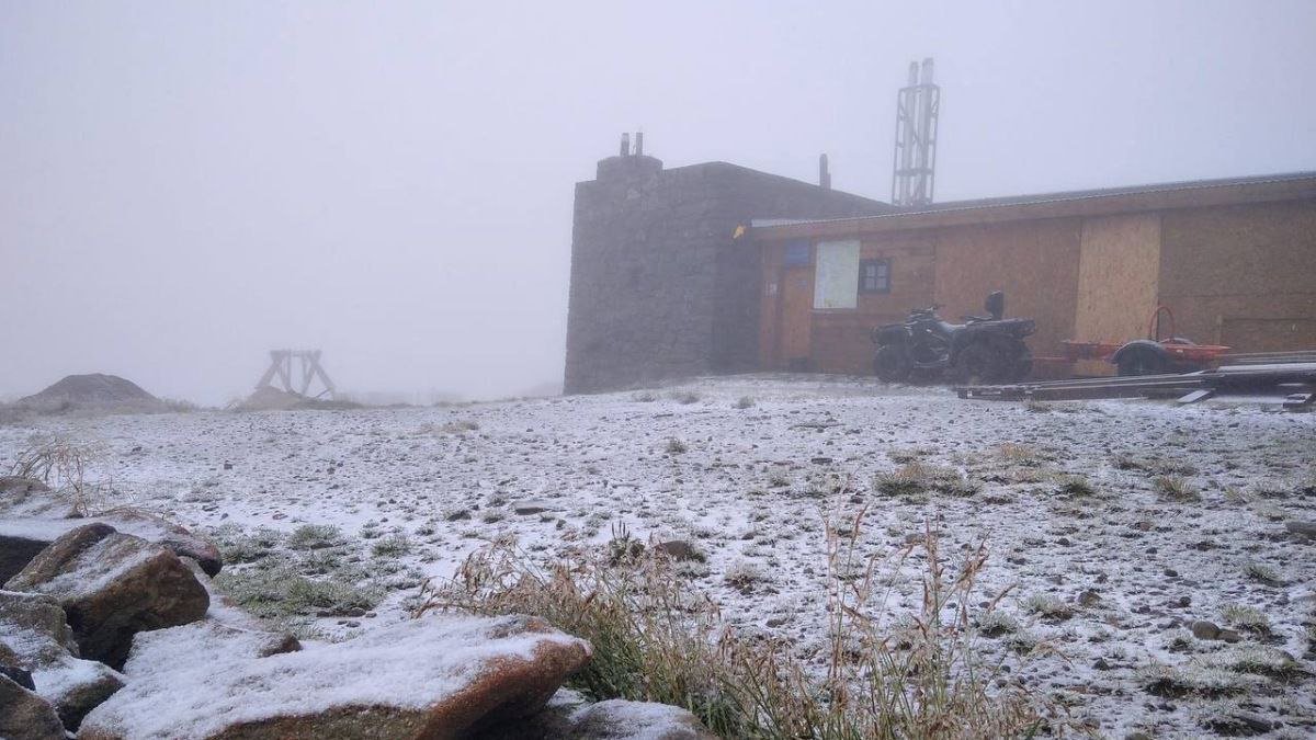 Де в Україні випав перший сніг