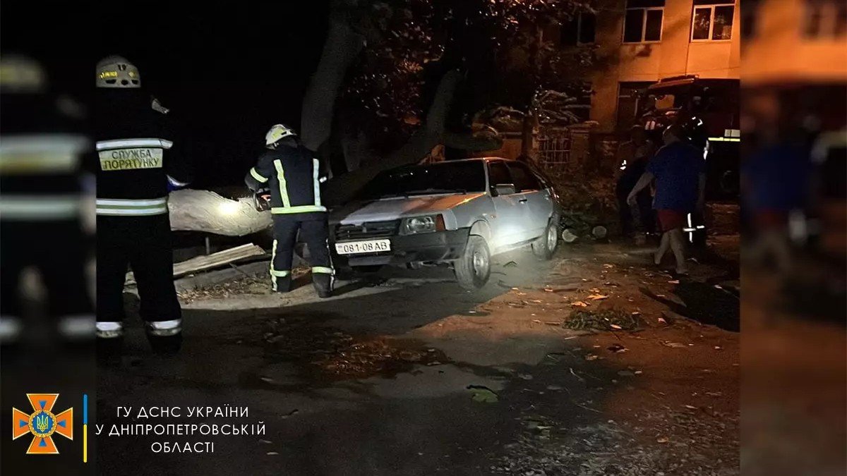 В Днепре на улице Ермоловой дерево упало на ВАЗ