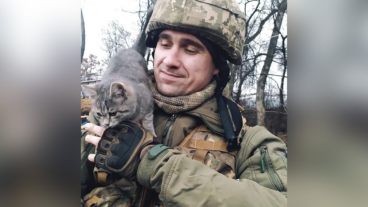 “Чотирилапі друзі хоробрих”: у Дніпрі пройде фотовиставка, присвячена військовим та котикам