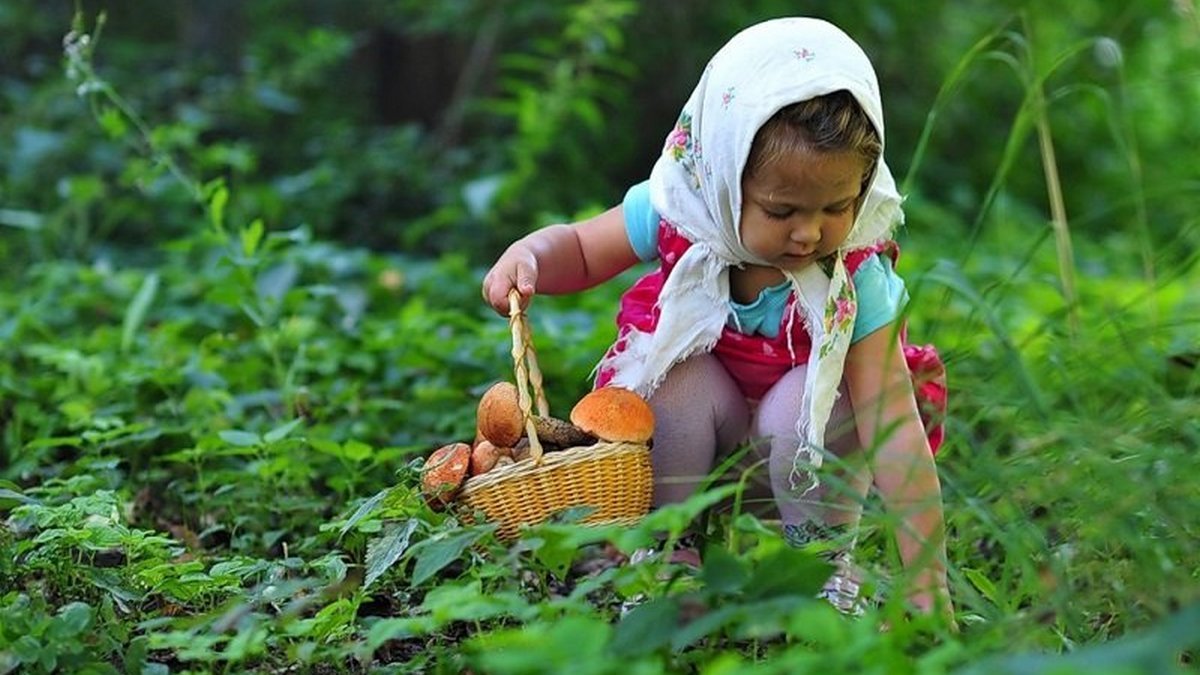 Не еда для детей: в Днепропетровской области 2-летний ребенок отравился грибами