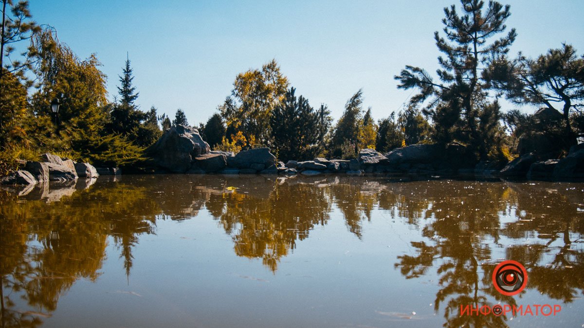 Китайские караси, сосны и пруд рядом с Днепром: где это находится