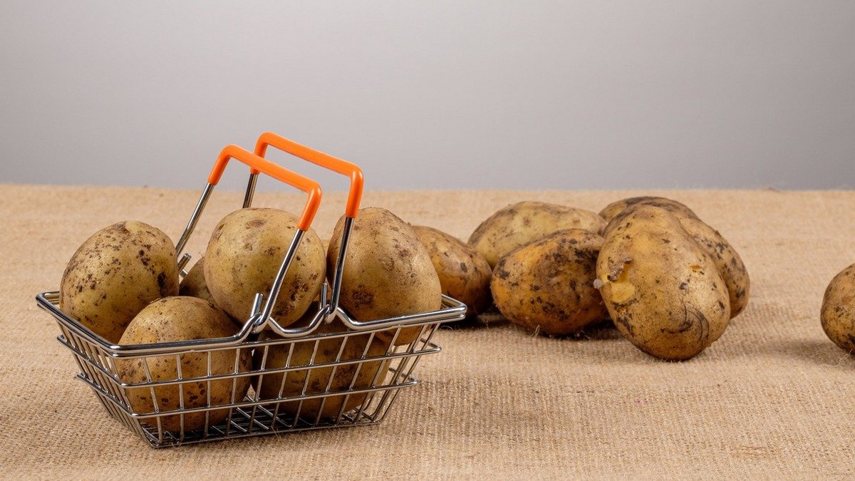 В Украине дешевеет картофель: с чем это связано
