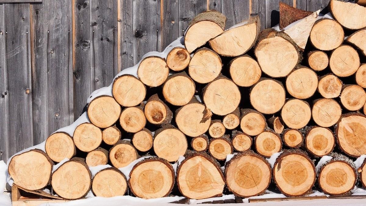 Мешканці прифронтових територій Дніпропетровської області можуть безкоштовно отримати дрова