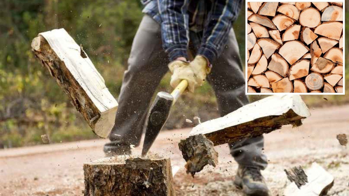 Как колоть дрова правильно: что нужно знать