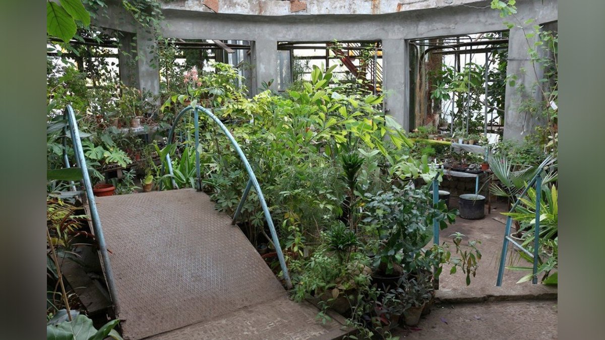 Побачити і купити тепличні рослини:  графік роботи ботанічного саду у Дніпрі на лютий