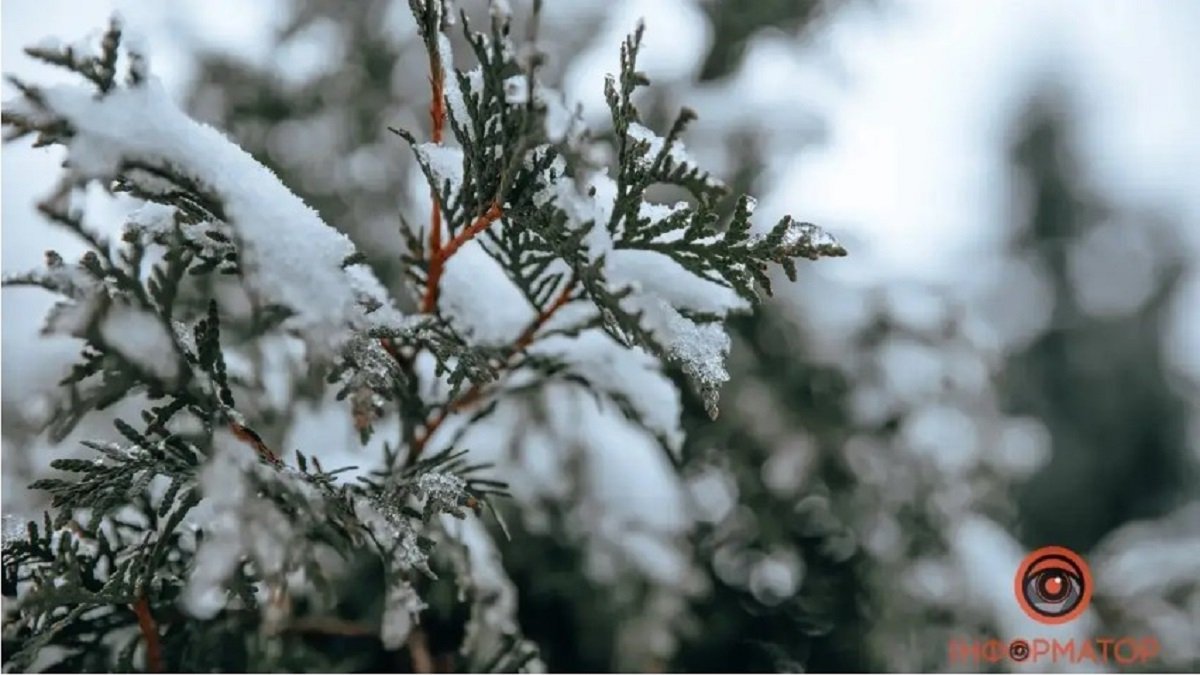 В Днепре выпадет снег с дождем: прогноз погоды на 29 января