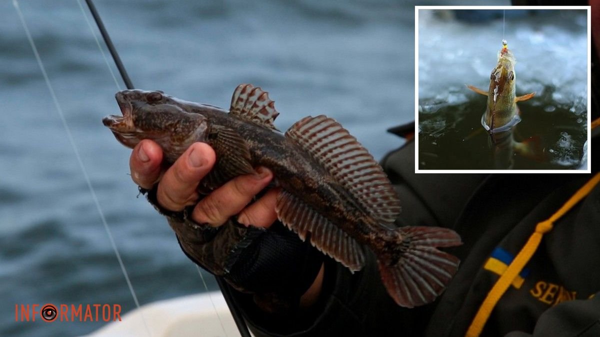 Как, где и сколько можно ловить: в Днепропетровской области действуют новые правила рыболовства