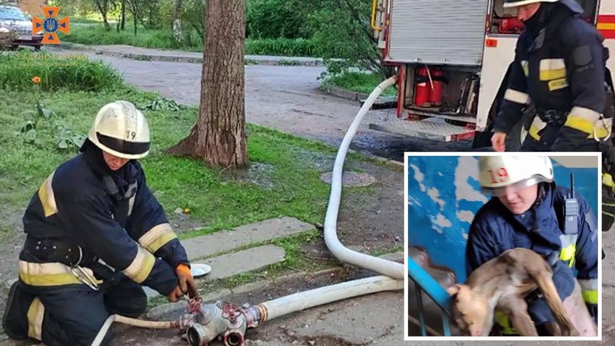 У Дніпрі з вогню винесли жінку та собаку: відео порятунку