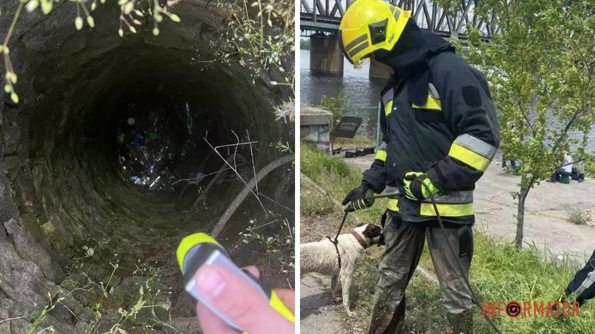 В Днепре спасли собачку, которая упала в четырехметровый колодец с водой