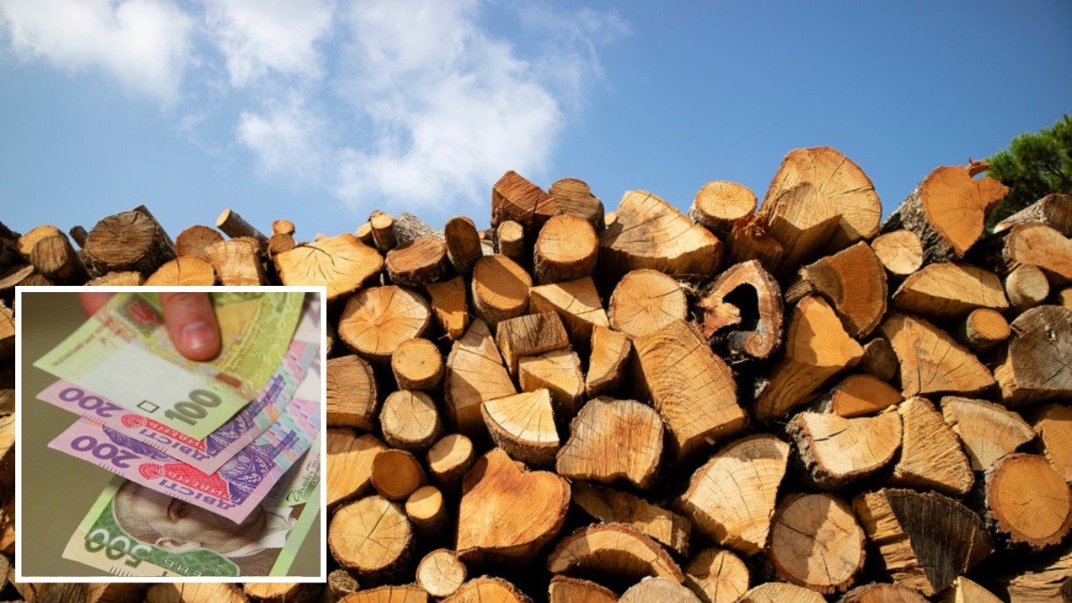 Де у Дніпропетровській області можна купити дрова і скільки вони коштують
