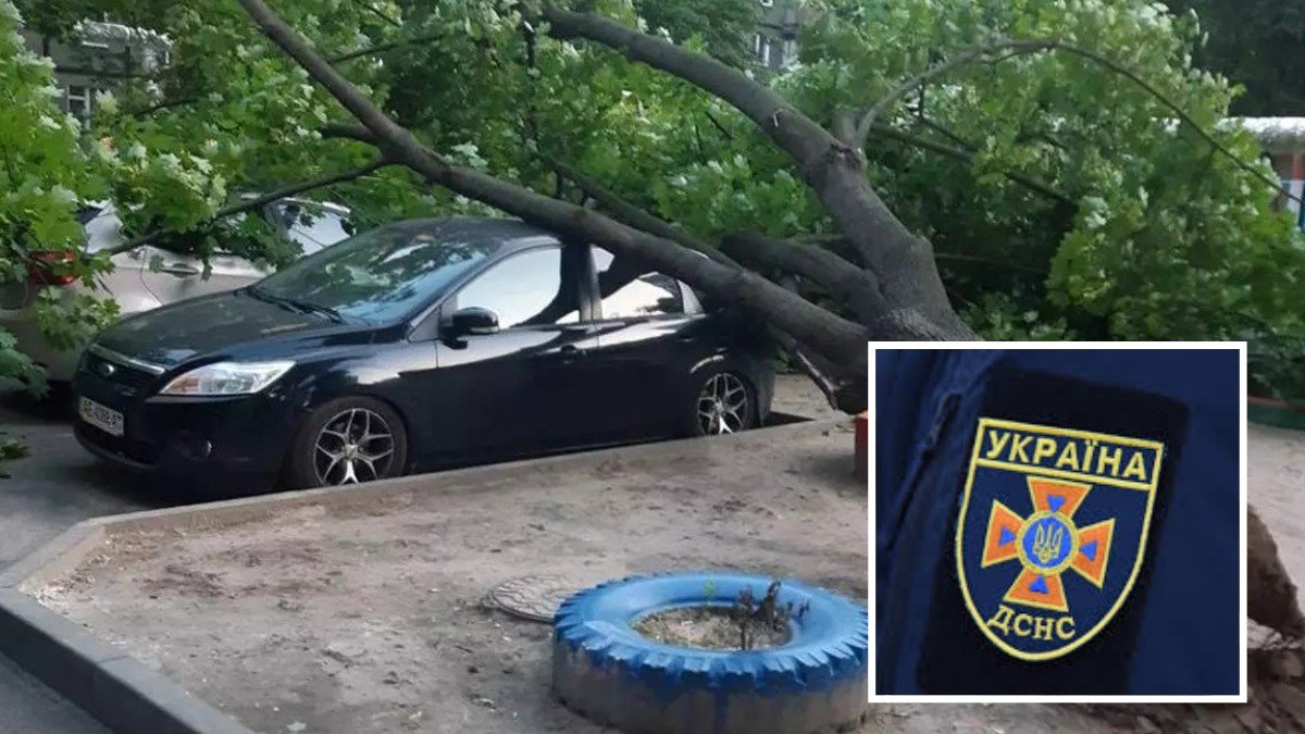 В Днепре на Калиновой дерево упало на припаркованные машины