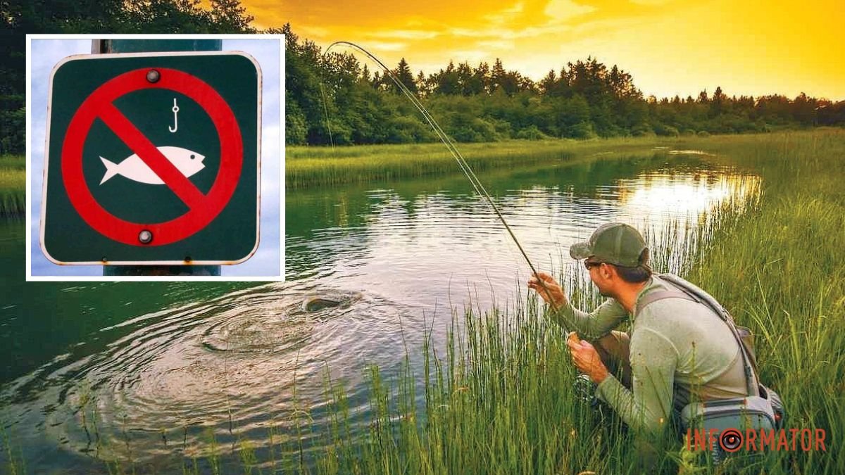 У Дніпрі та області заборонили вилов та продаж риби: причина