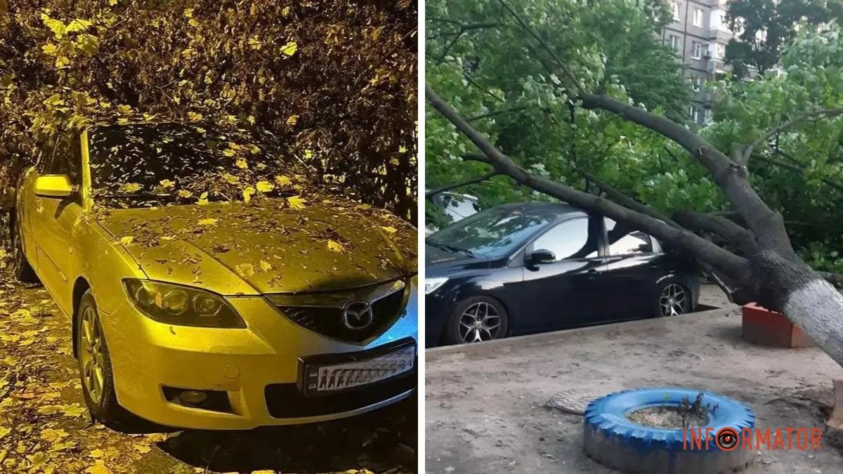 Дерево впало на автівку або пошкодили колеса через вибоїну на дорозі: як отримати компенсацію у Дніпрі