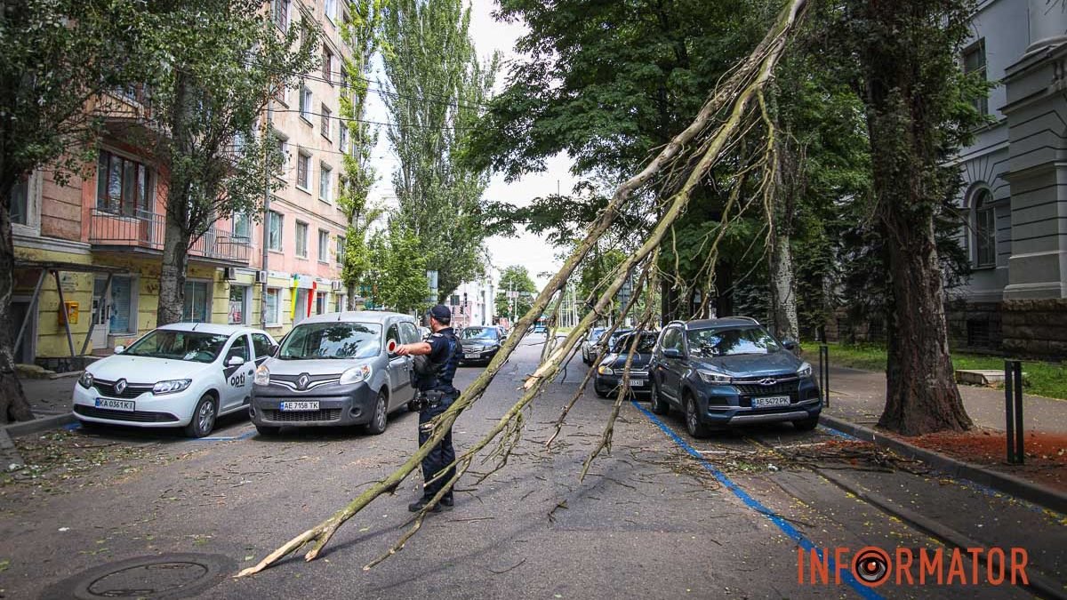 В Днепре на Гончара на дорогу упала ветвь дерева: перекрыта полоса движения