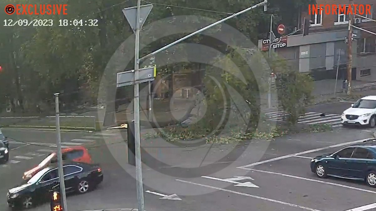 В Днепре на проспекте Поля дерево упало на дорогу и чуть не задело автомобили: видео момента