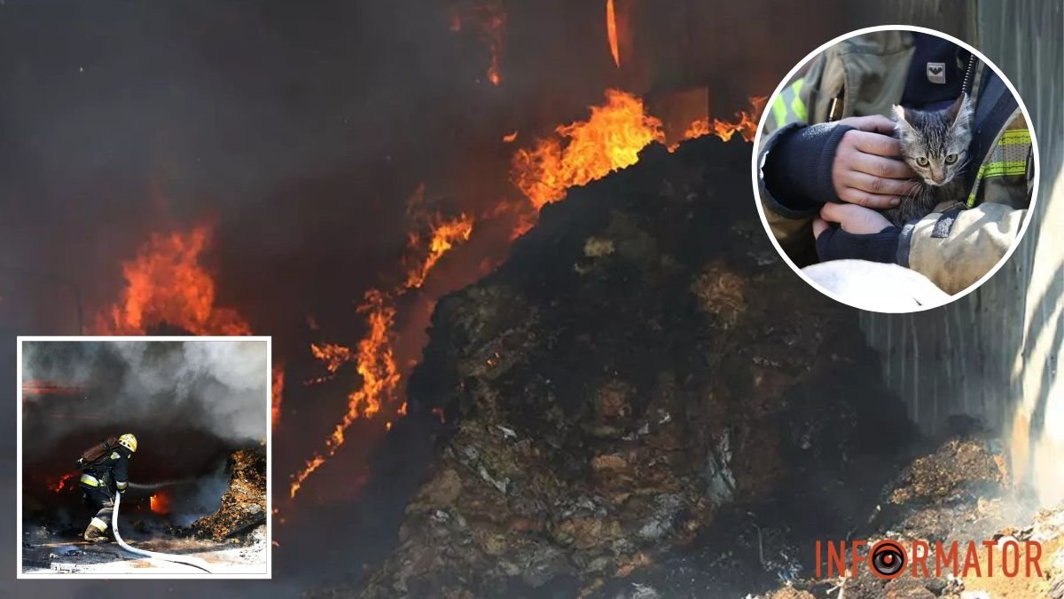 Масштабна пожежа на Ударників у Дніпрі: рятувальники показали, як ліквідували займання