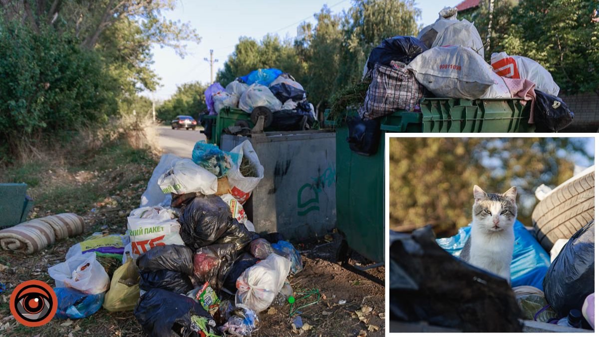 "Раз на три дні приїжджають": чому деякі райони Дніпра потопають у смітті