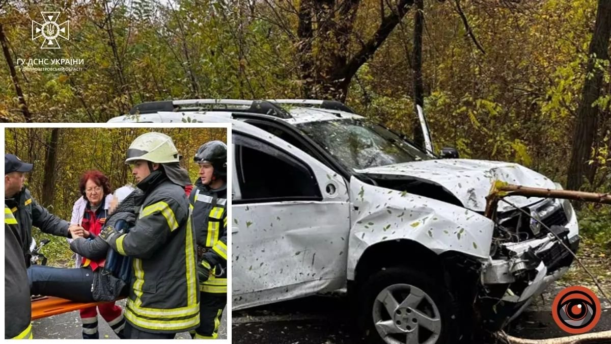 В Днепропетровской области под Петриковкой Renault врезался в дерево: водитель заблокирован в автомобиле