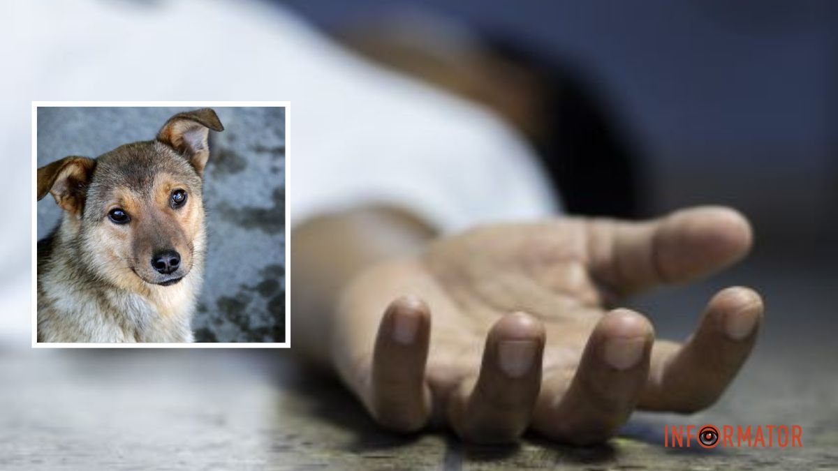 В Днепре на Карагандинской умерла женщина: ее тело обглодали собаки